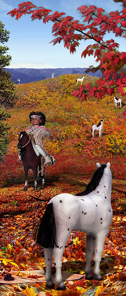 First Contact, American Girl Dolls, american girl company, colonialism, nimipuu, nez perce,native american, kaya,  Diorama,Diagrams,Jaclin Paul