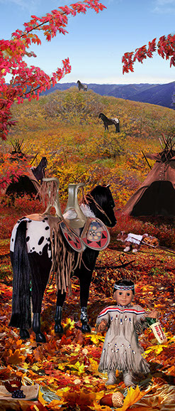 First Contact, American Girl Dolls, american girl company, colonialism, nimipuu, nez perce,native american, kaya,  Diorama,Diagrams,Jaclin Paul