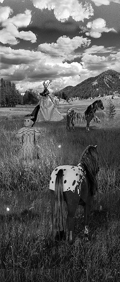 First Contact, American Girl Dolls, american girl company, colonialism, nimipuu, nez perce,native american, kaya,  Diorama,Diagrams,Jaclin Paul