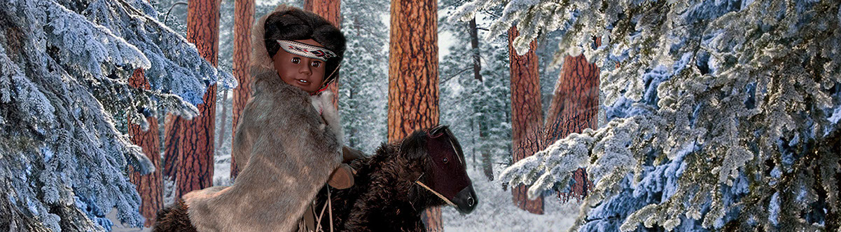 First Contact, American Girl Dolls, american girl company, colonialism, nimipuu, nez perce, native american, kaya,  Diorama Diagrams Jaclin Paul